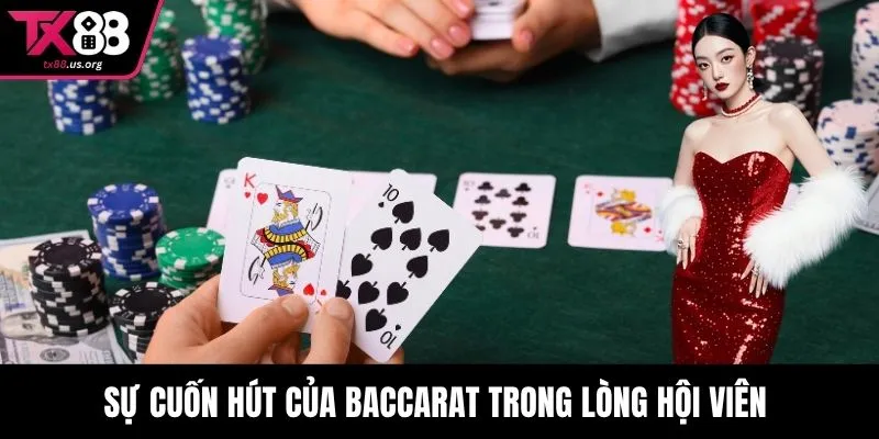 Sự cuốn hút của Baccarat trong lòng hội viên 